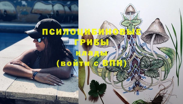 шишки Аксай
